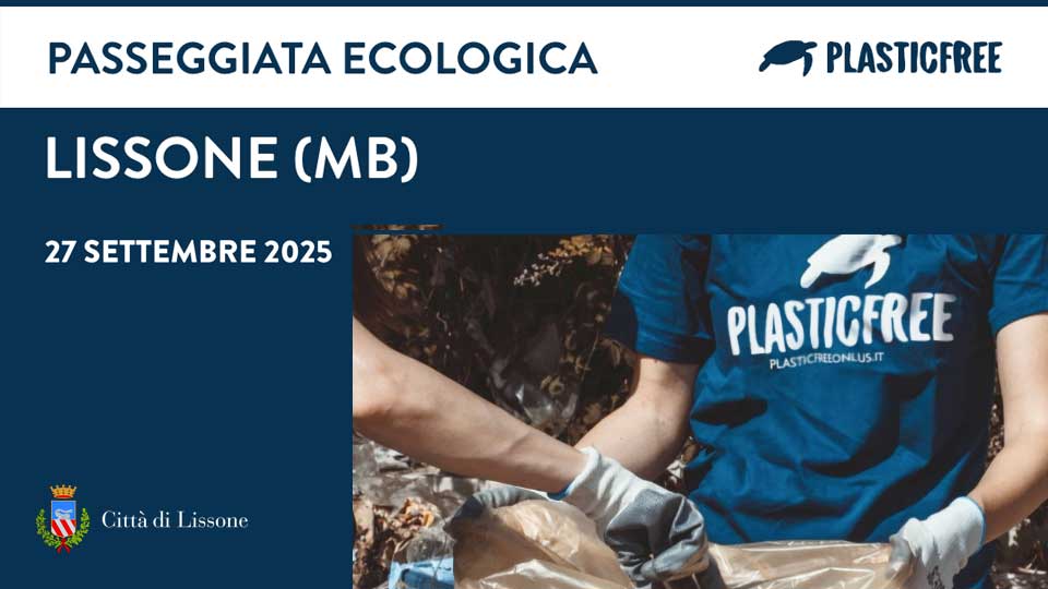 plastic-free Immagine di plastic-free