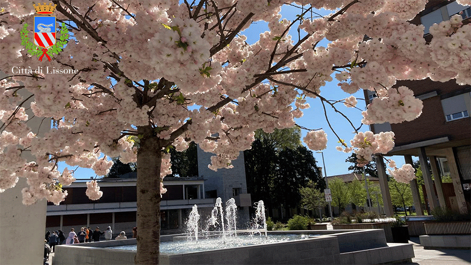 Immagine Buona Pasqua