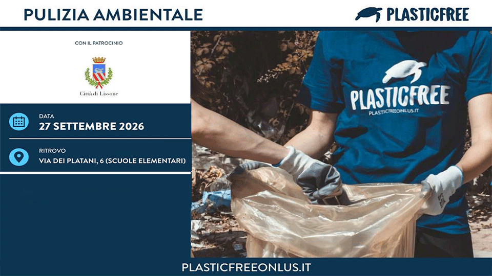 Immagine di ico_plasticFree_cleanup_24_09_2026